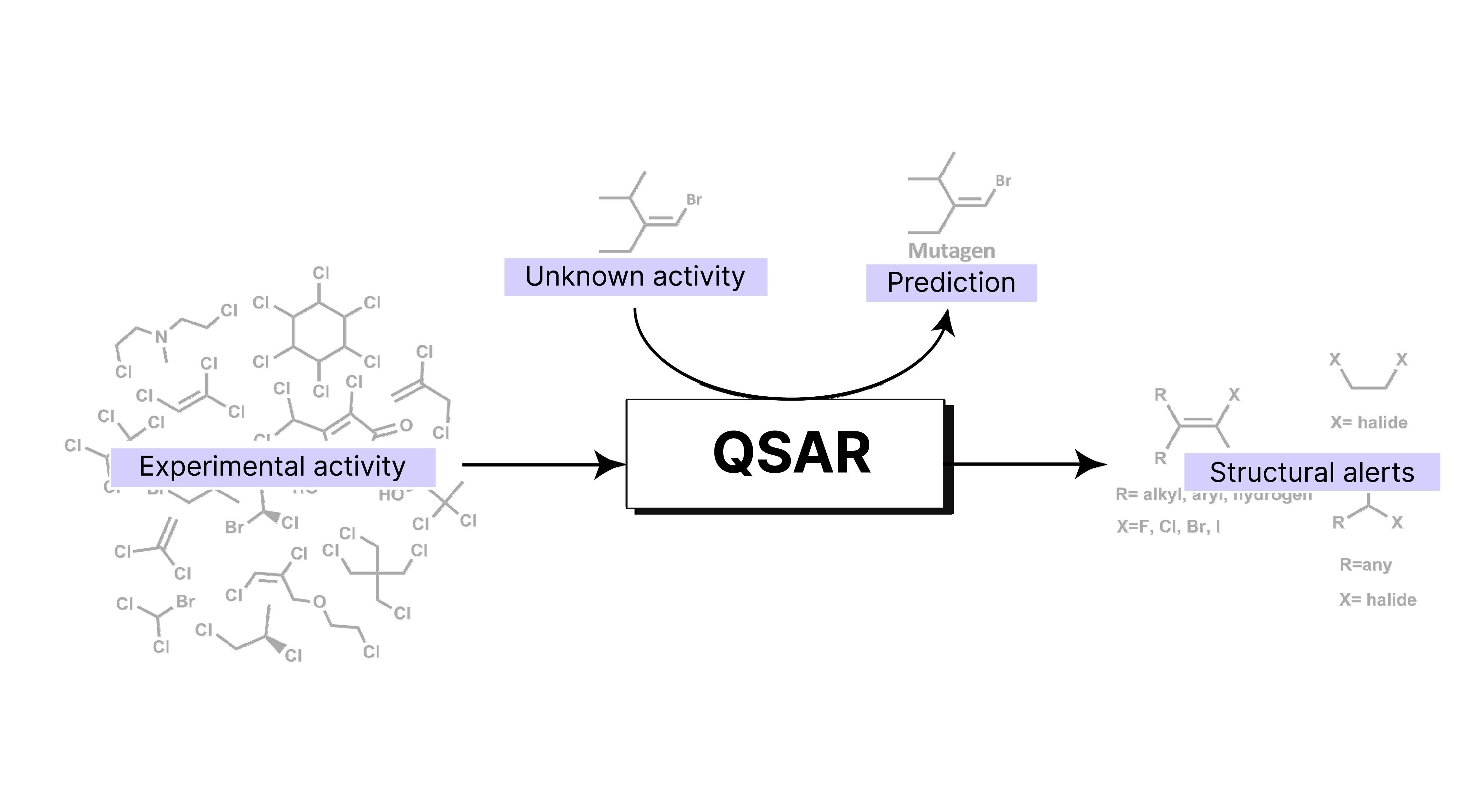 QSAR CM&S Flow